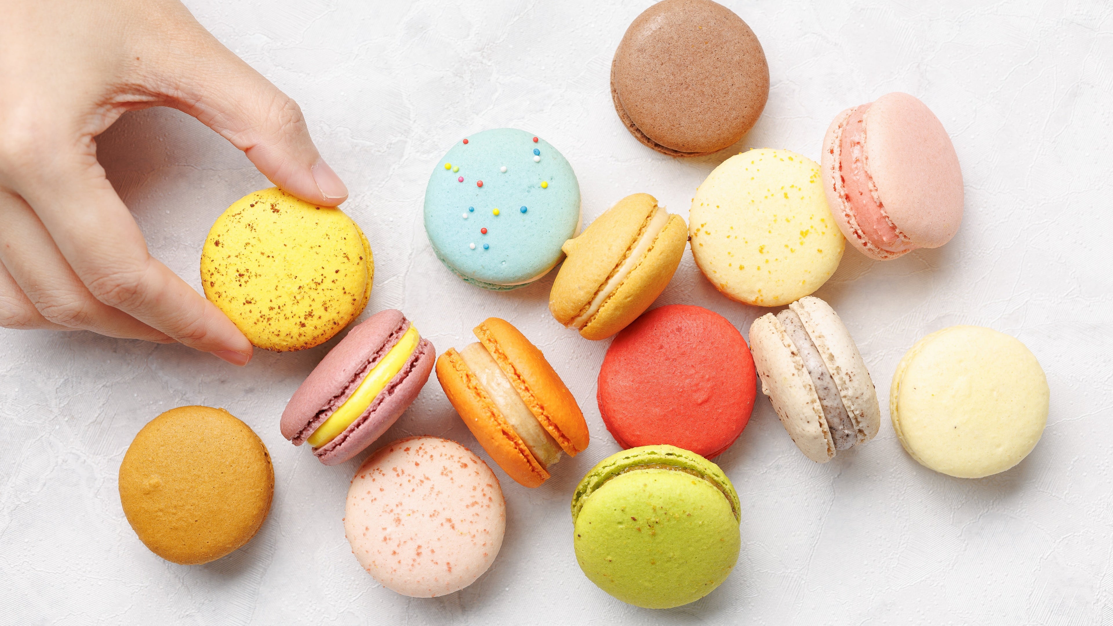 French Wholesale Frozen Macarons