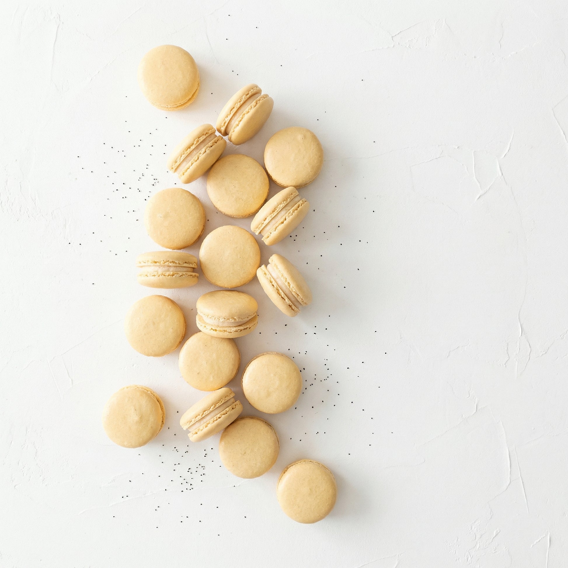 Group of Vanilla Macarons with Vanilla beans